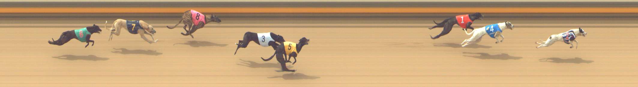 Race result finish photo